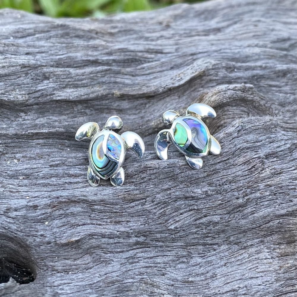 paua shell turtle stud