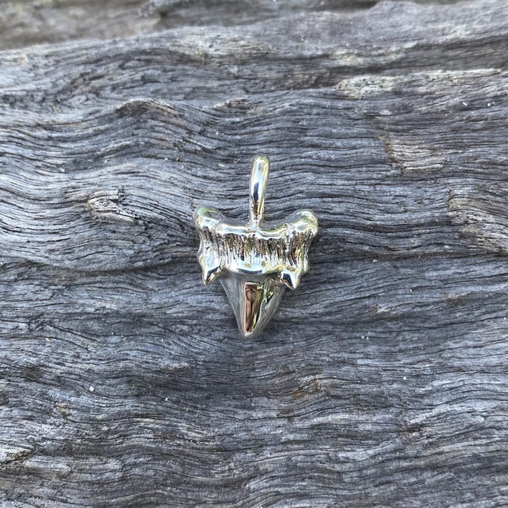 sharktooth pendant