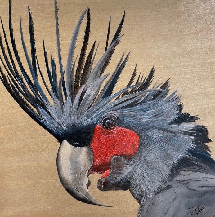 black cockatoo art