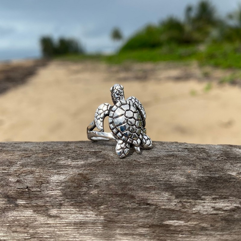 turtle jewellery