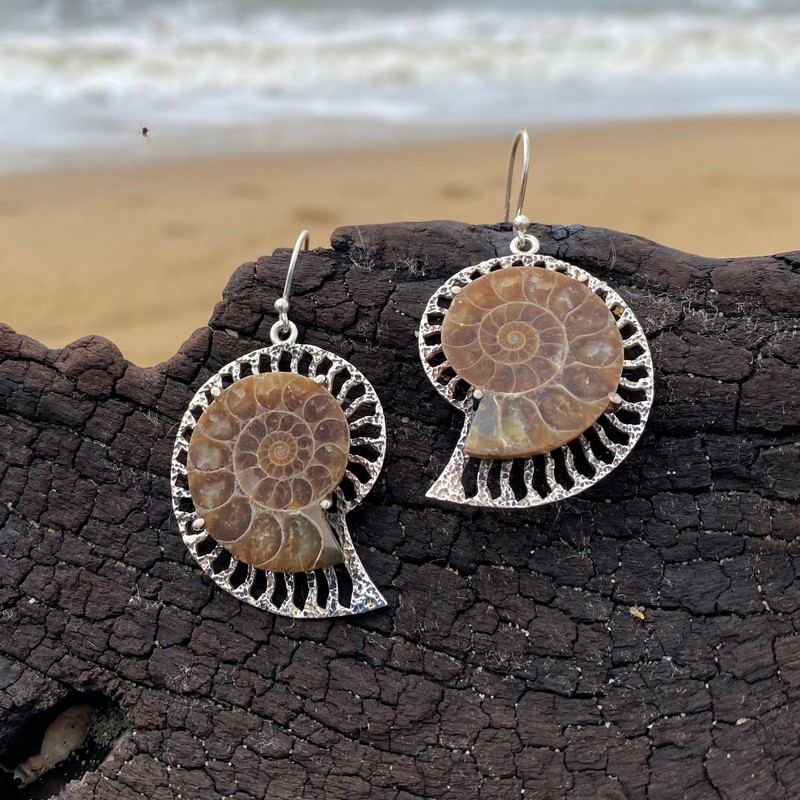 fossil earrings